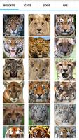 Animal Faces - Face Morphing