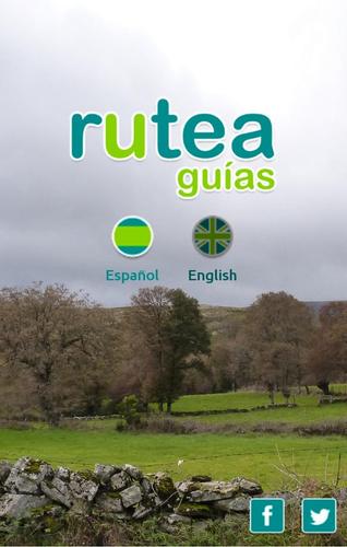 Rutea