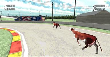 Animal Racing : Cow