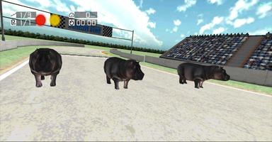 Animal Racing : Hippo