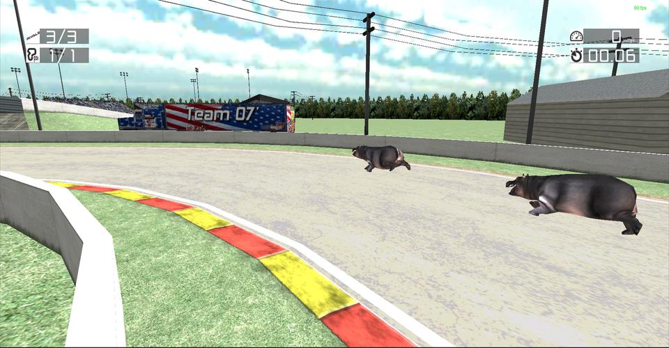 Animal Racing : Hippo