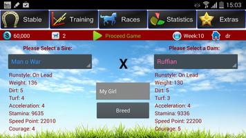 Horse Racing Breeding Game