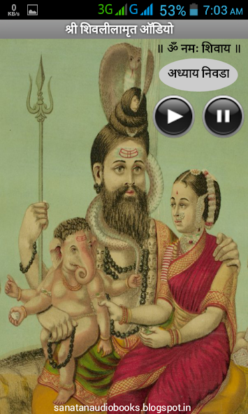 Shiv Leela Amrit Audio