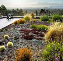 Rooftop Garden Designs