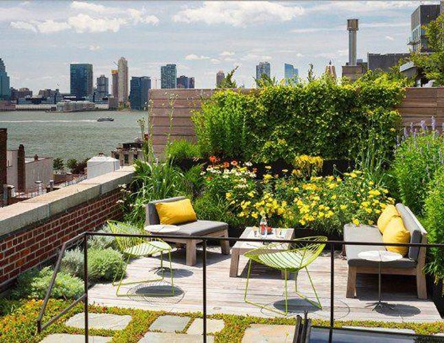 Rooftop Garden Designs