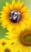 Sunflower photo frames