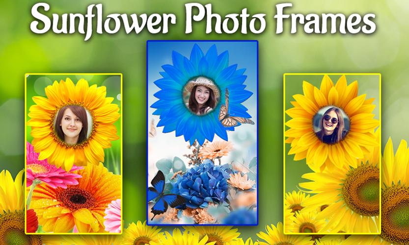 Sunflower photo frames