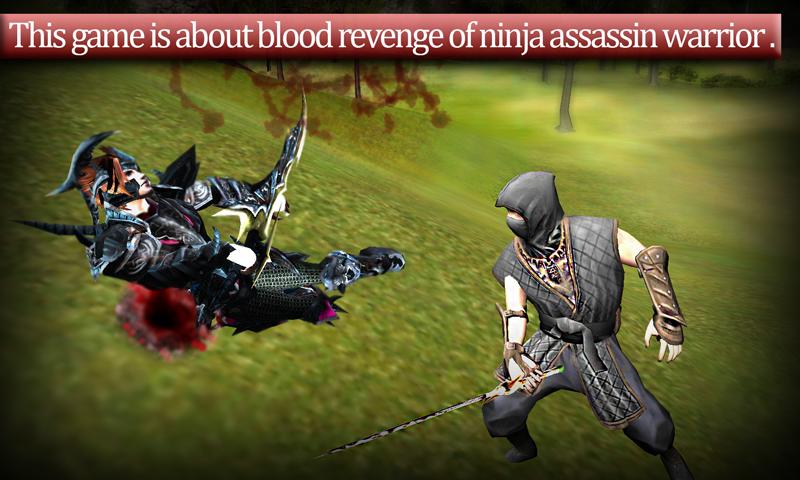 The last Ninja Assassinator