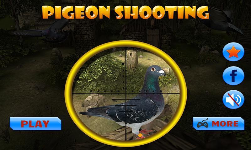 Pigeon (Kabootar) Shooting, 3D