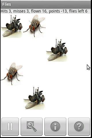 Flies