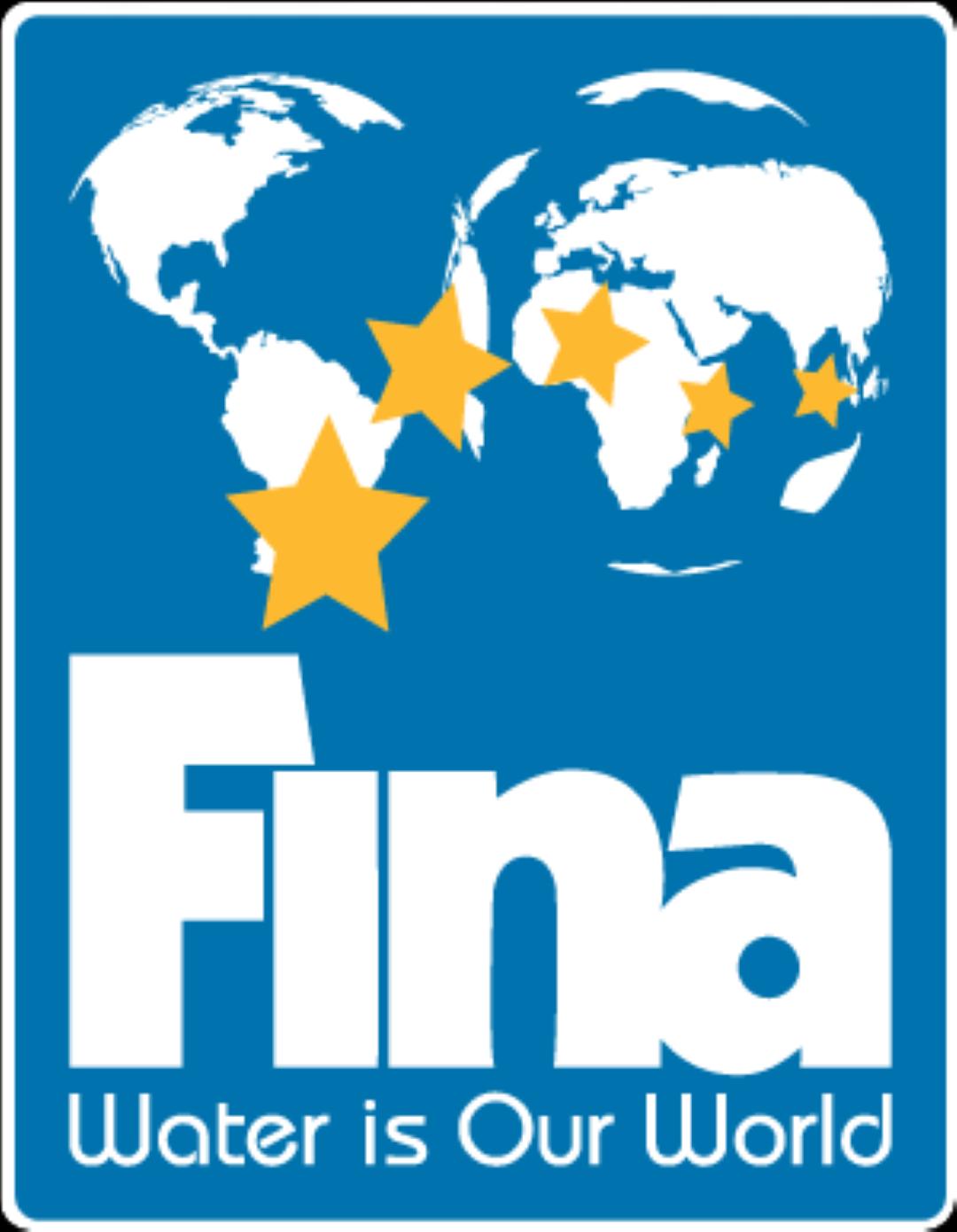 FINA 2014