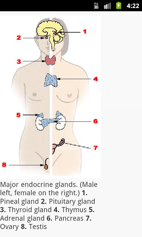 Human Physiology