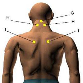 Acupressure Points