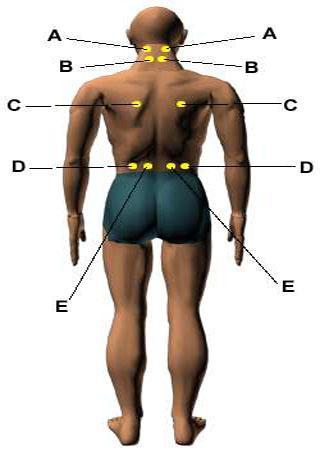 Acupressure Points