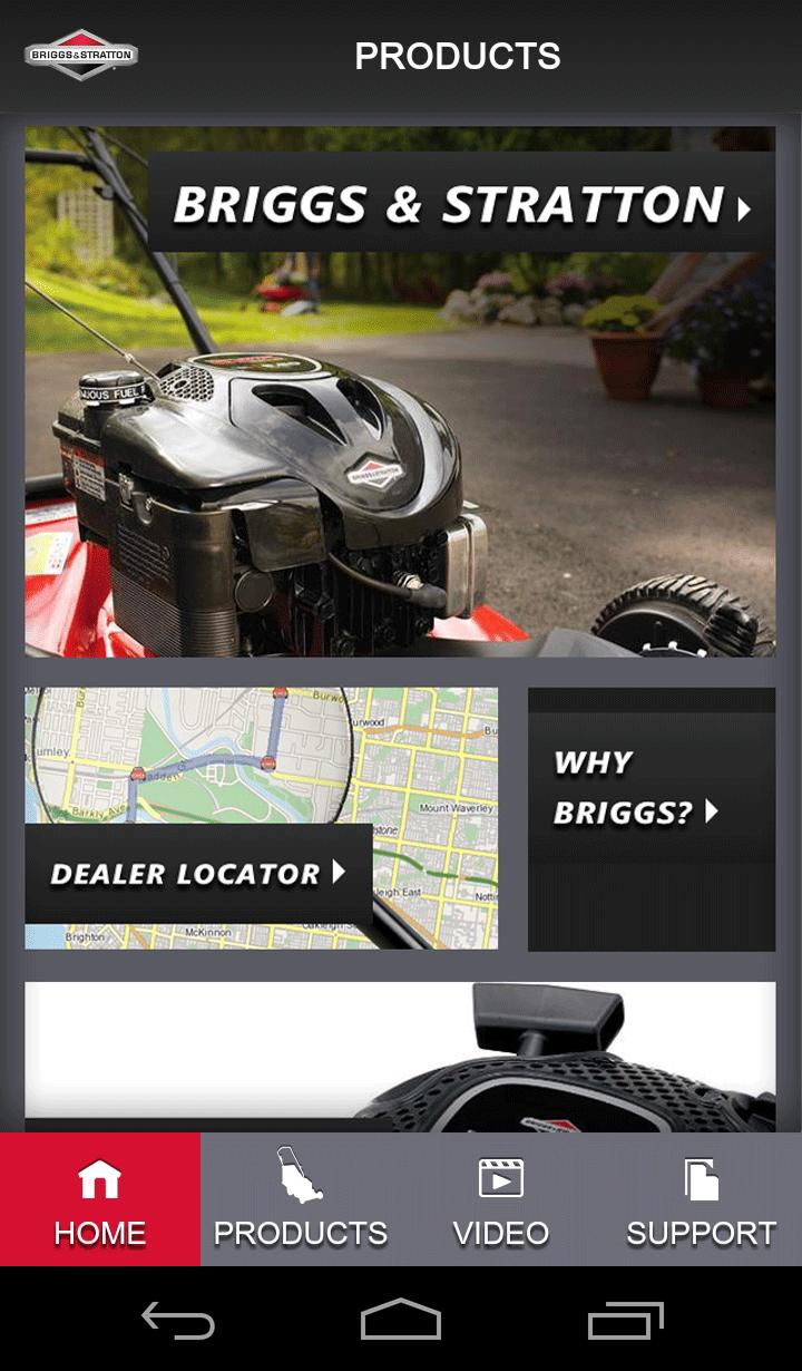 Briggs & Stratton Home Depot