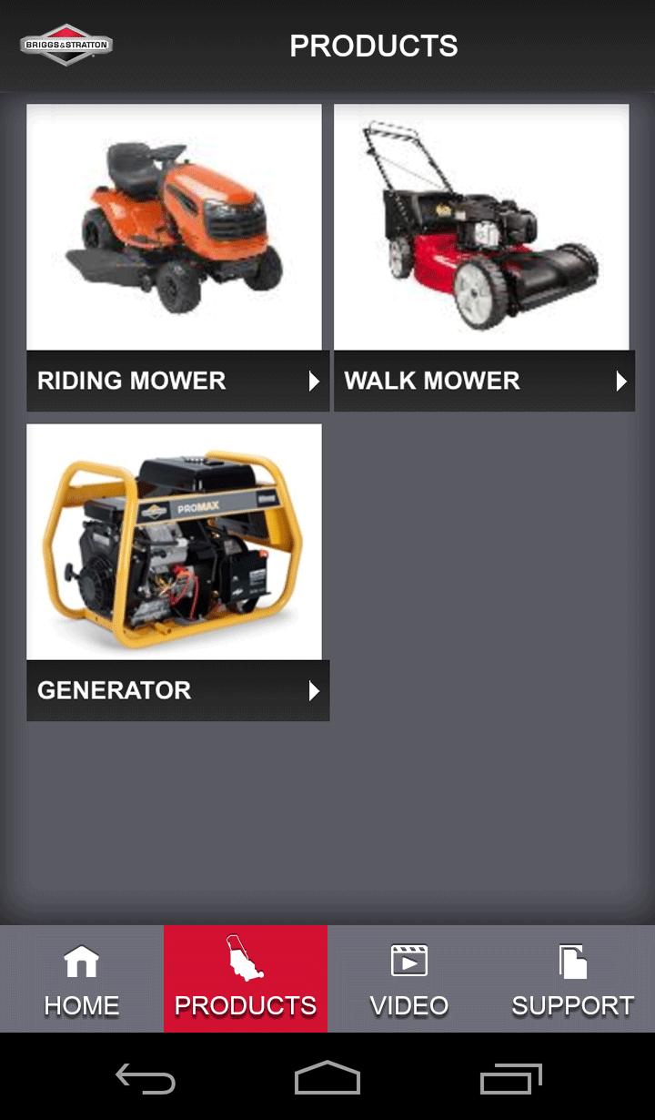 Briggs & Stratton Home Depot