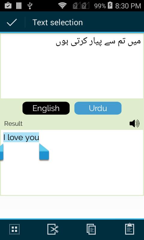 English Urdu Translator