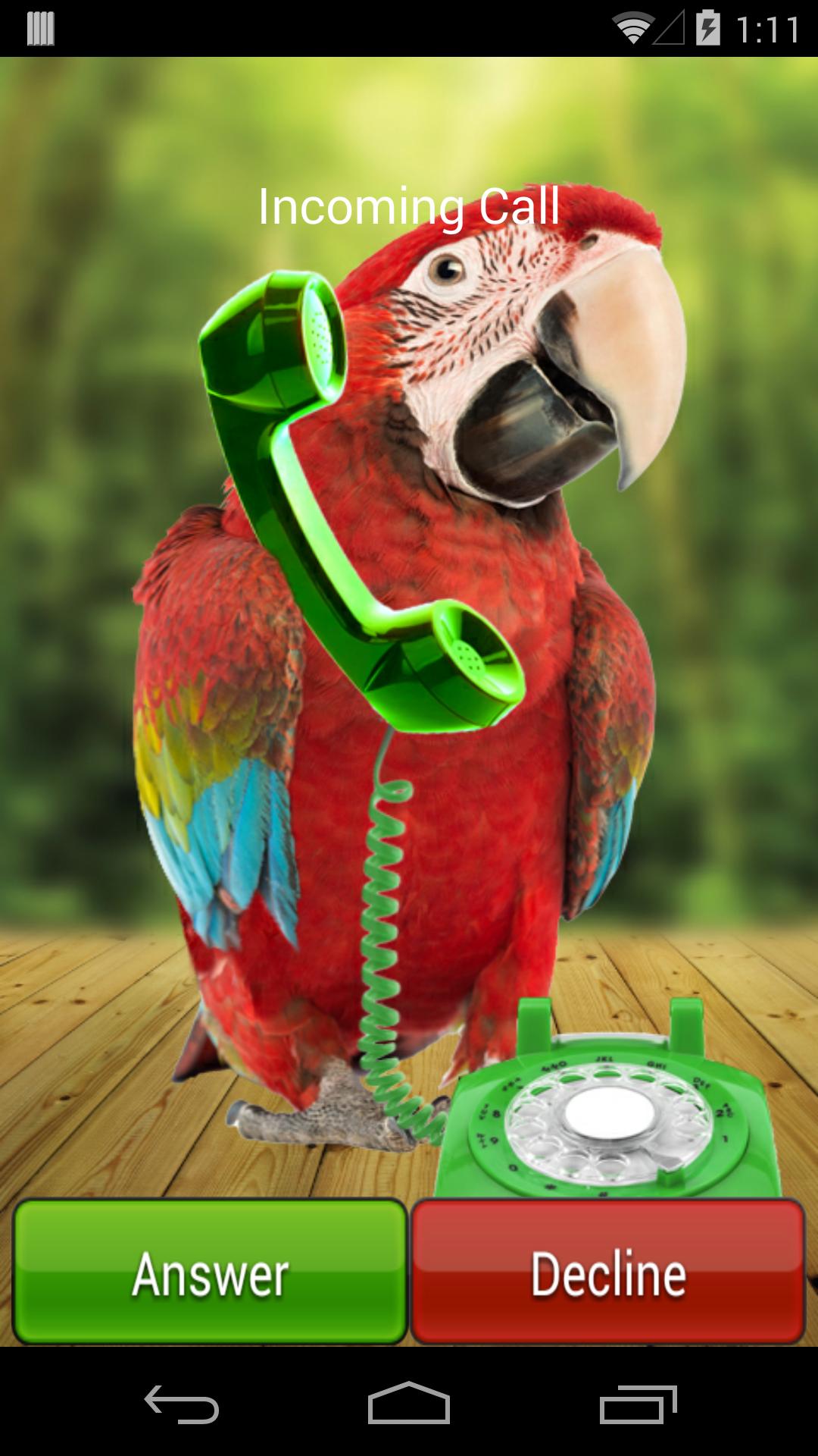 Parrot Phone Call