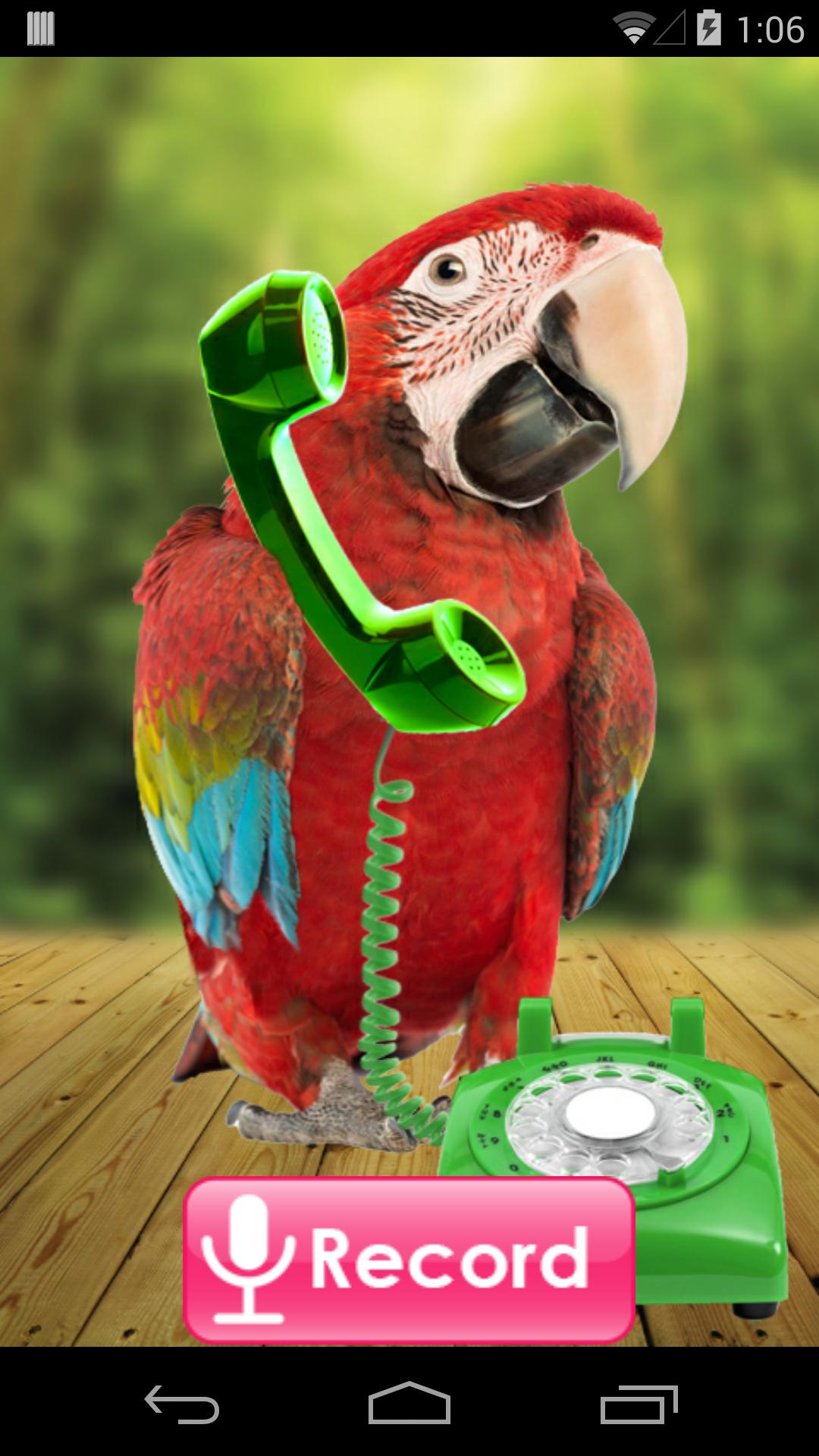 Parrot Phone Call