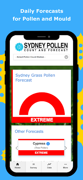 Sydney Pollen Count & Forecast