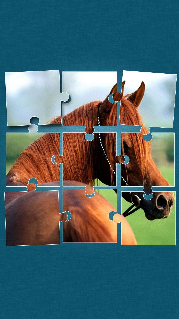 Horses Jigsaw Puzzle Game