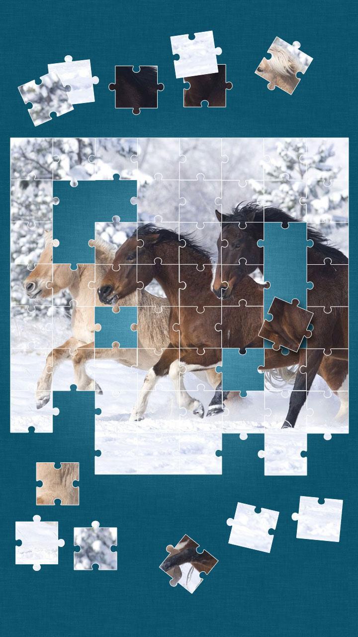 Horses Jigsaw Puzzle Game