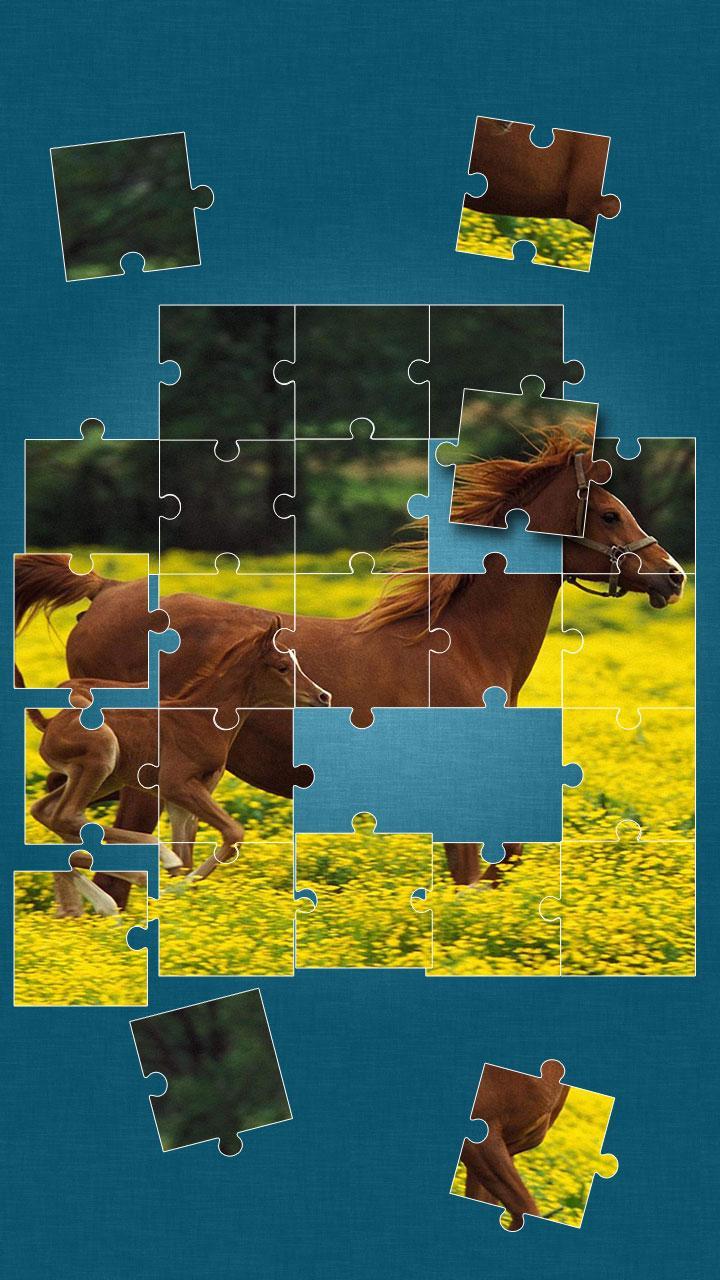 Horses Jigsaw Puzzle Game