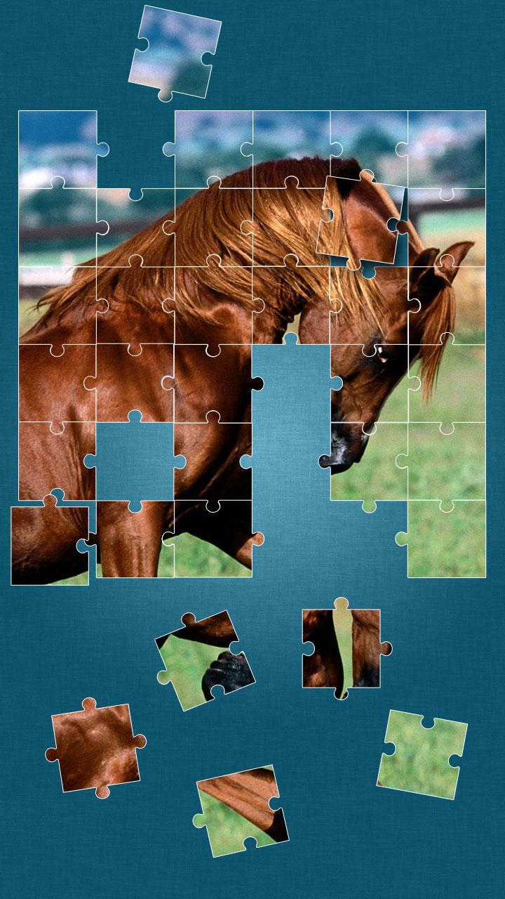 Horses Jigsaw Puzzle Game