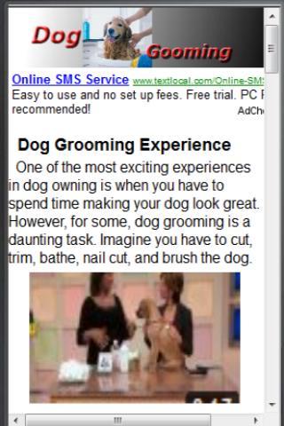 Dog Grooming