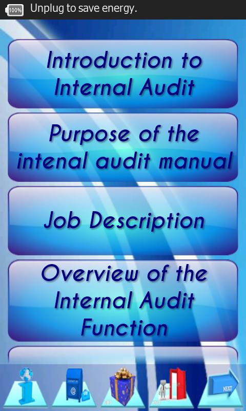 Internal Audit P&P Manual Demo