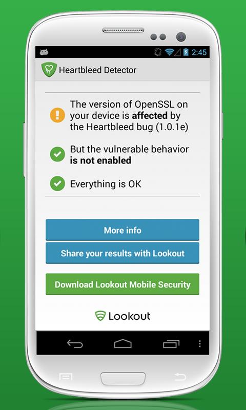 Heartbleed Security Scanner