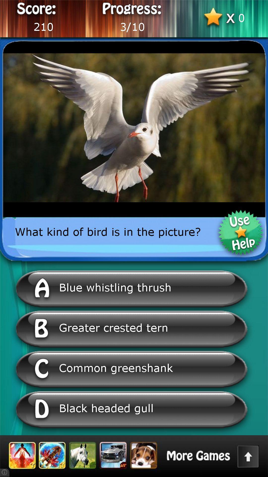 Bird Species Quiz HD