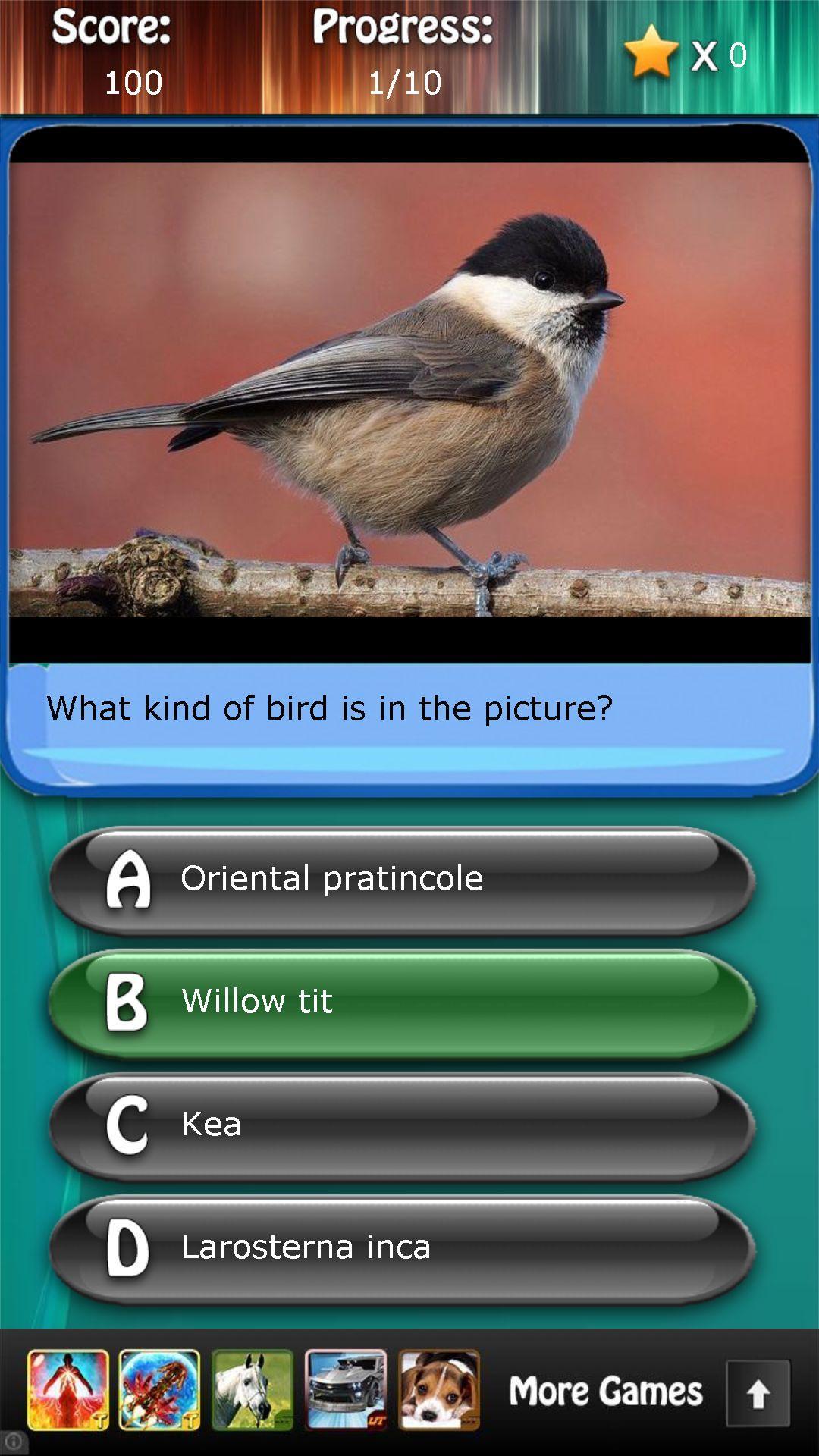 Bird Species Quiz HD