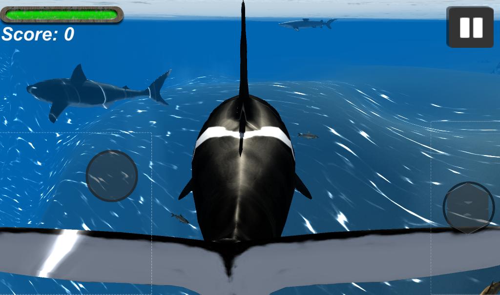 Orca Whale Simulator 3D