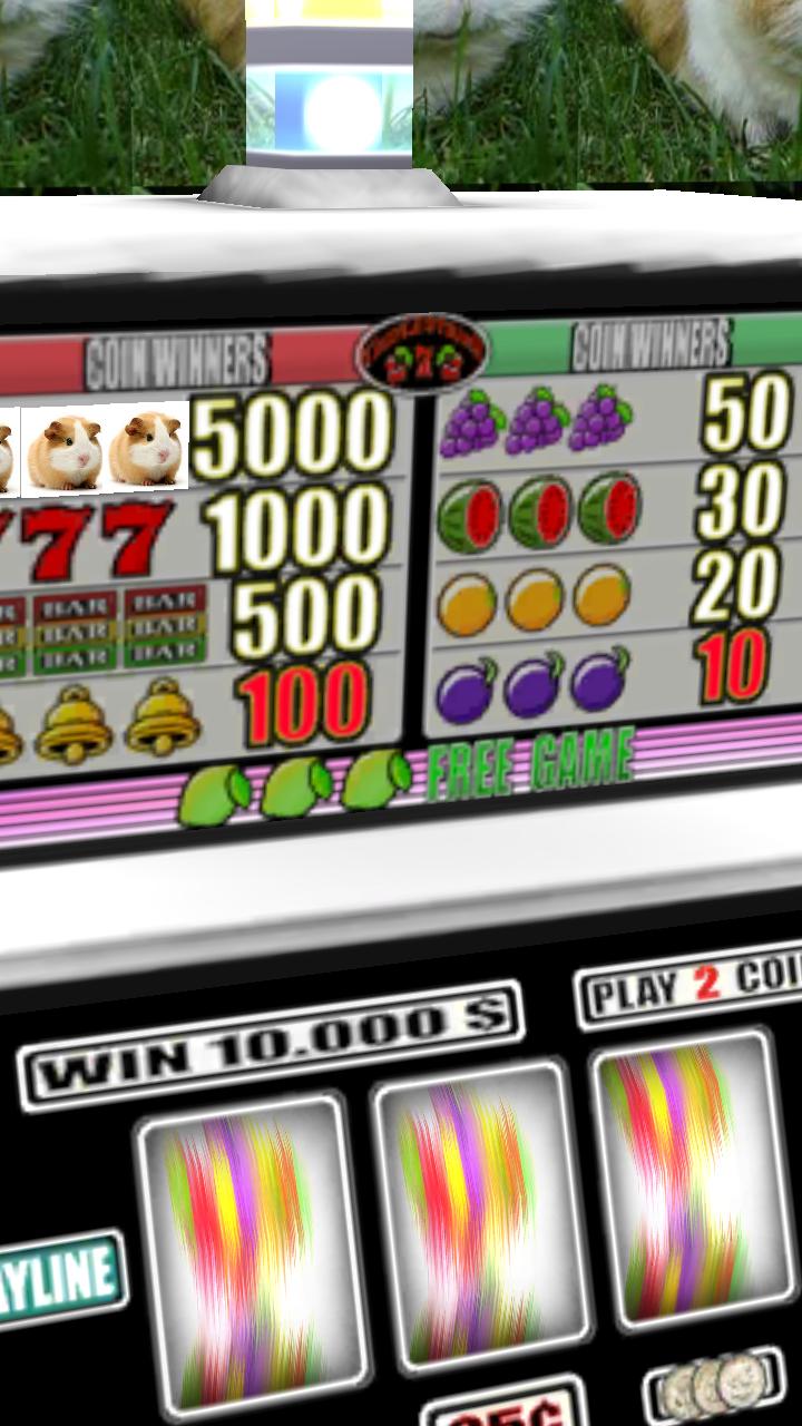 Guinea Pig Slots - Free