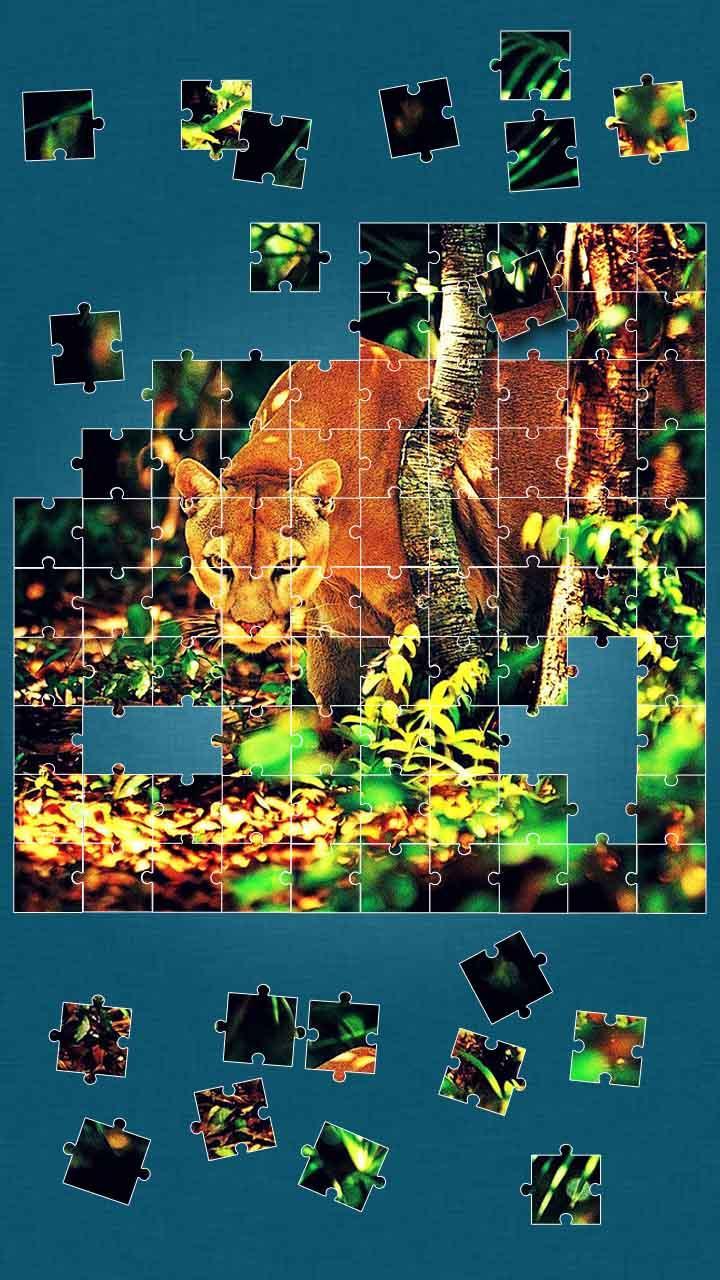 Jungle Animals Jigsaw Puzzle