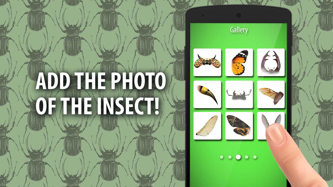 Ant insect Photo Editor