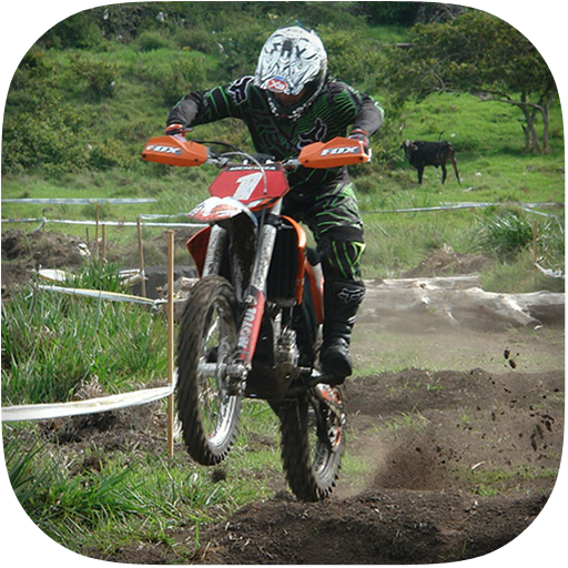 Offroad Bike Racing 3D