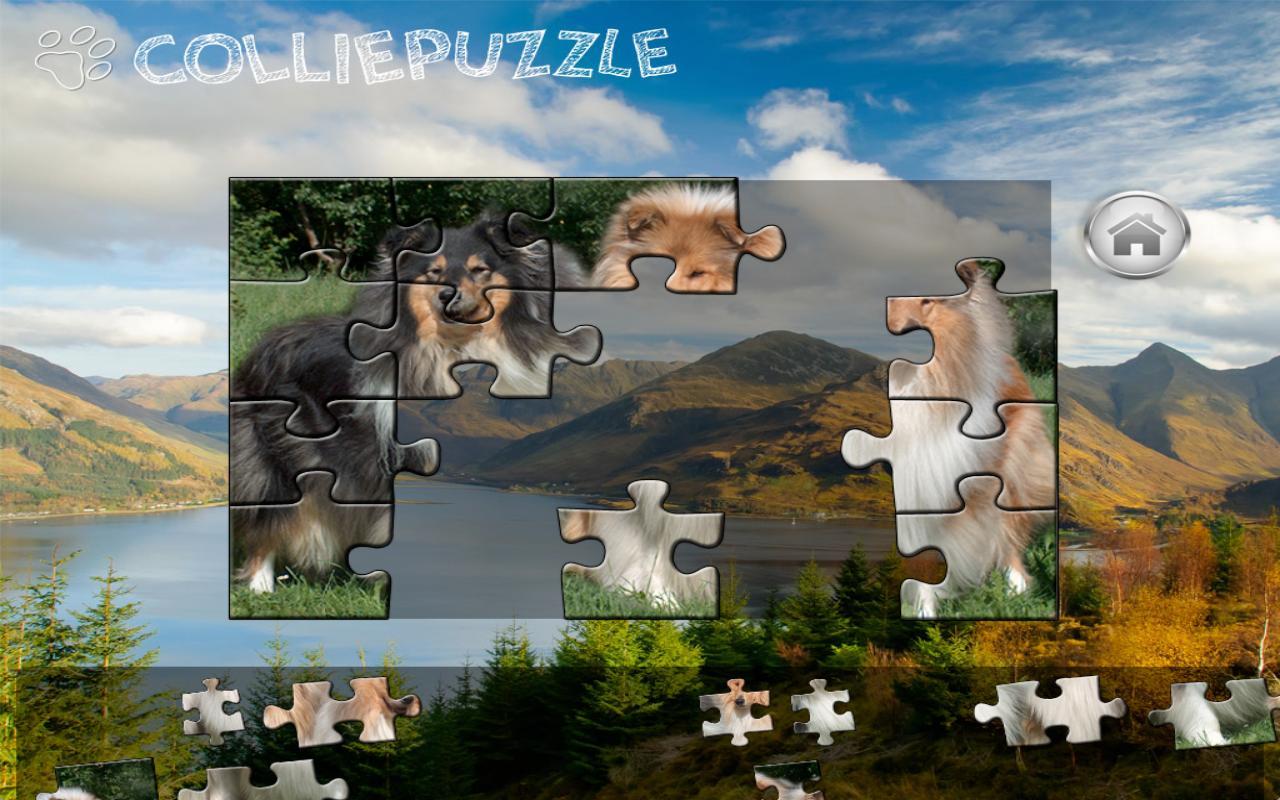 Collie Puzzle