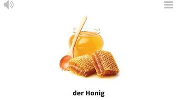 Lyrebird: Learn GERMAN