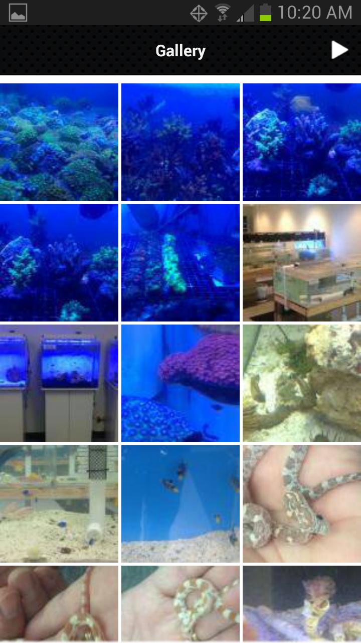 Xzotic Aquatic World