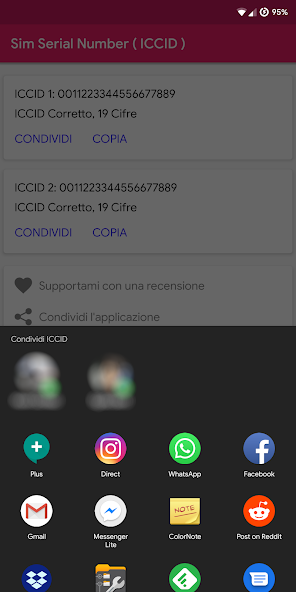 Sim Serial Number ( ICCID)