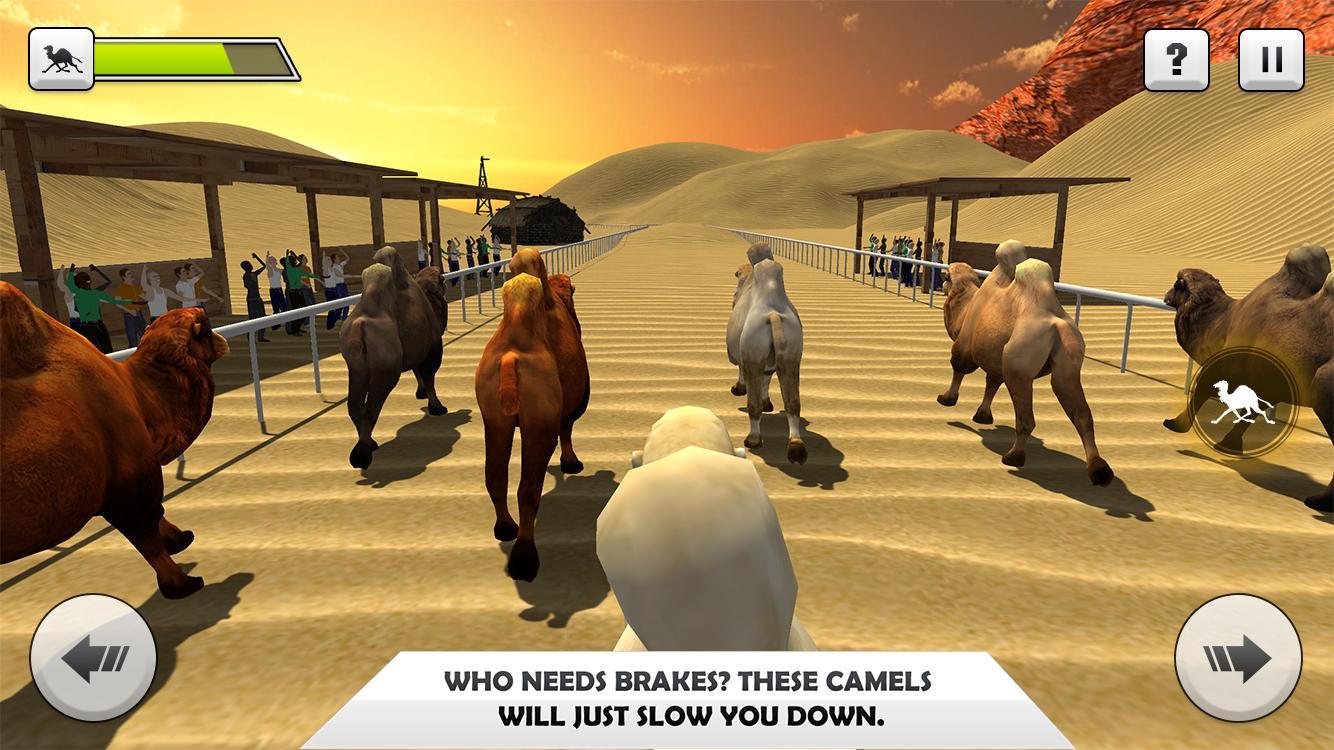 Wild Camel Racing Simulator