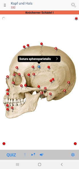 PROMETHEUS LernKarten