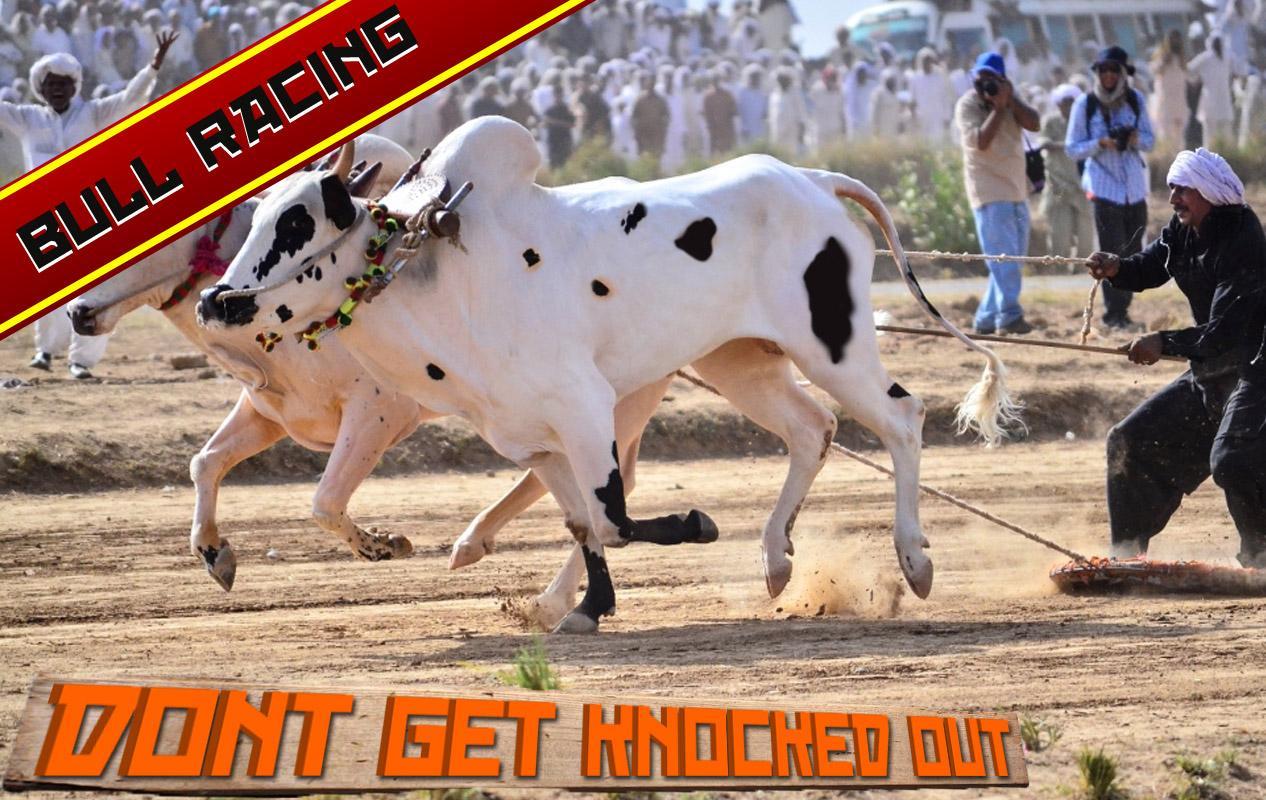Farming Bull Racing game