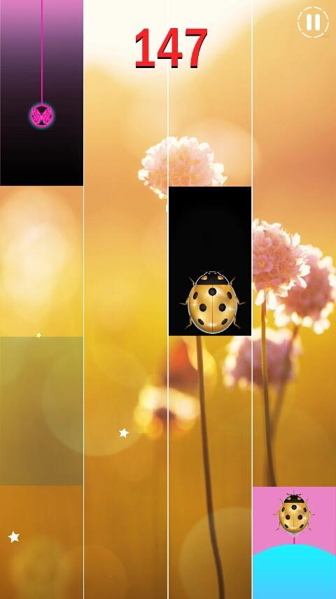 Gold Beetle Piano tiless 2019