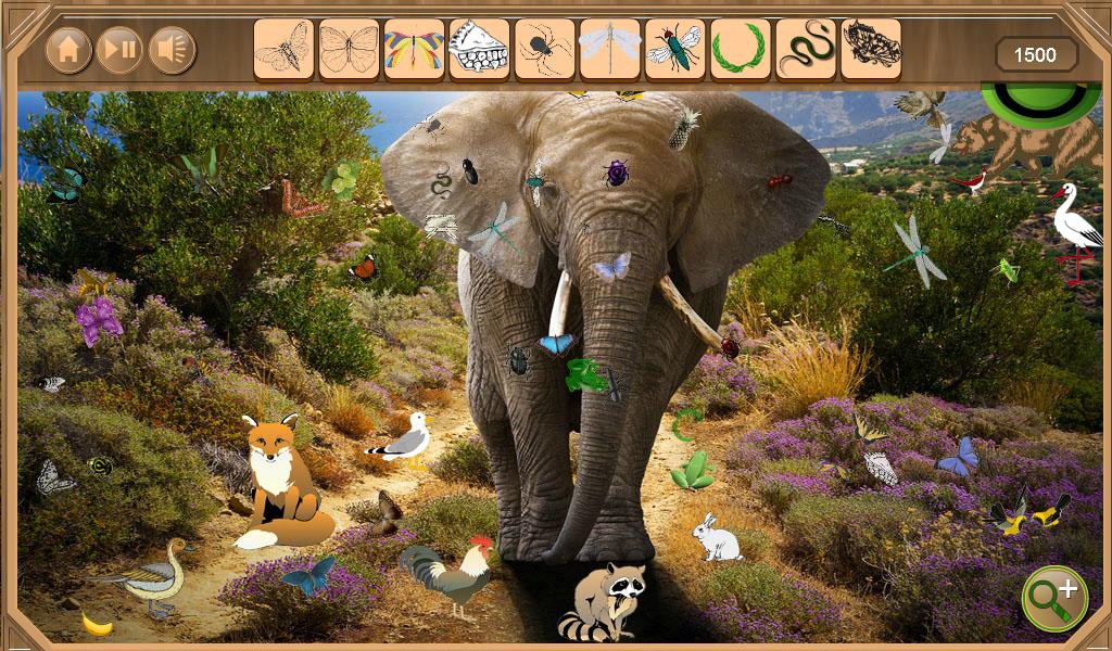 Safari Hidden Objects