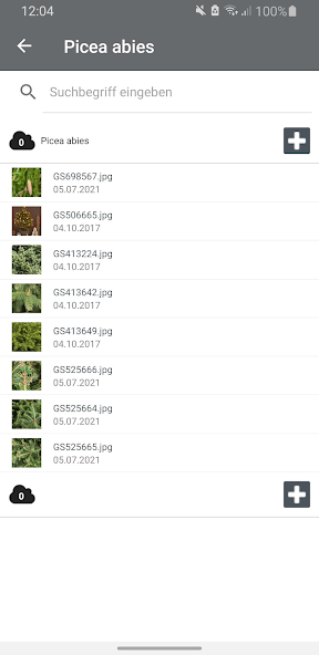 Green Solutions Fotos App