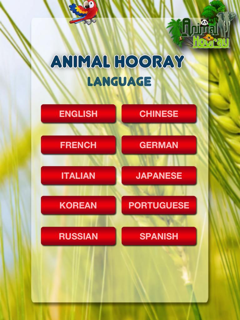 Animal Hooray: Sounds_Videos