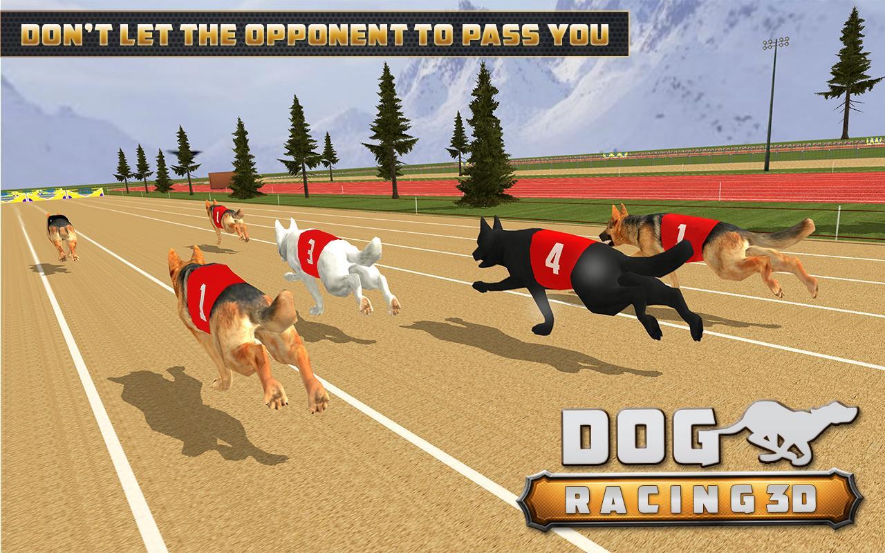 Dog Racing  3D Run  Animal  Doggy Race: pet Racing